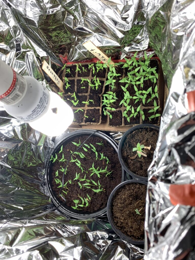 I built a Child care for my Plants I built a Child care for my Plants