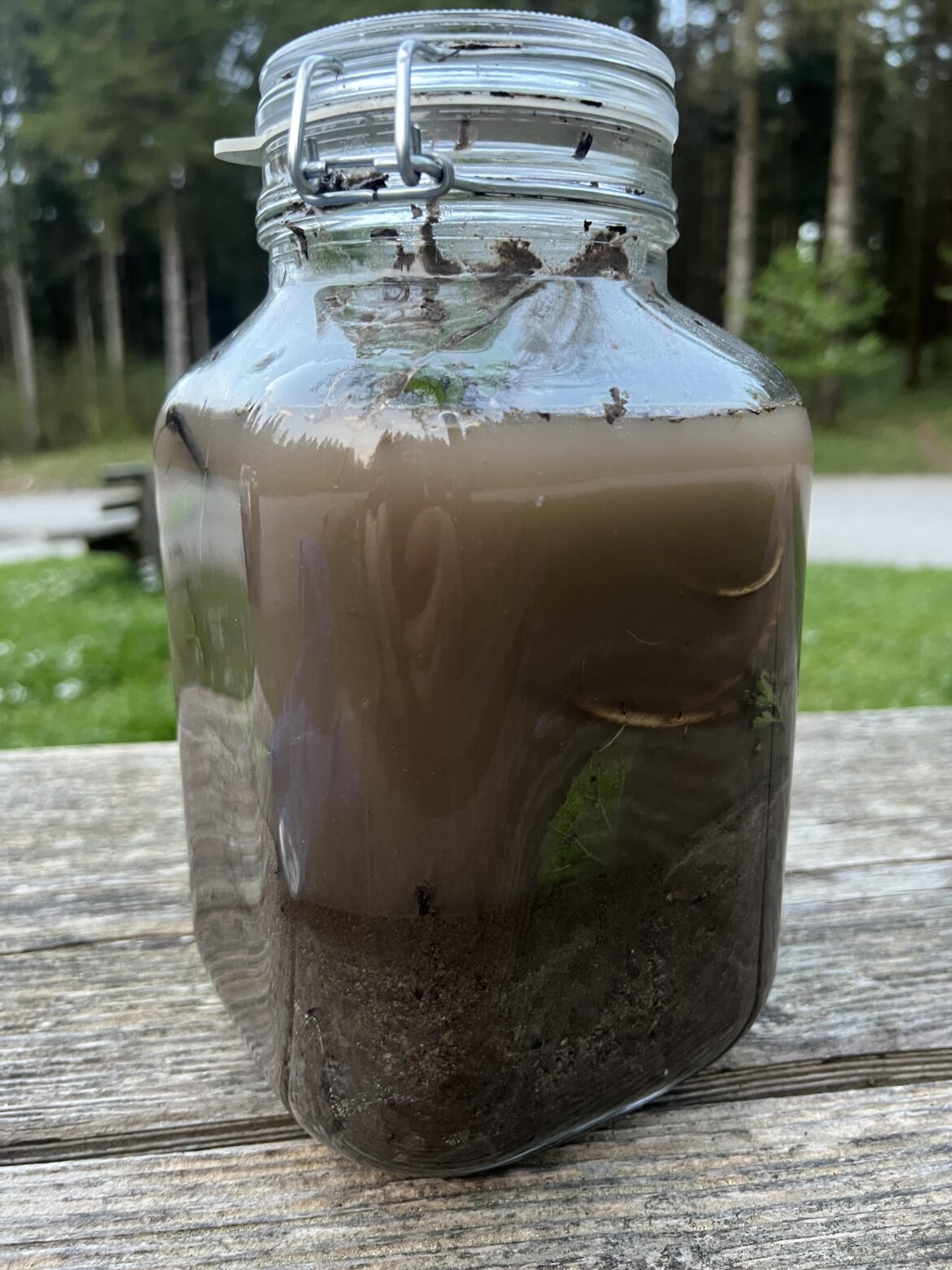 First Ecosphere - floating roots?