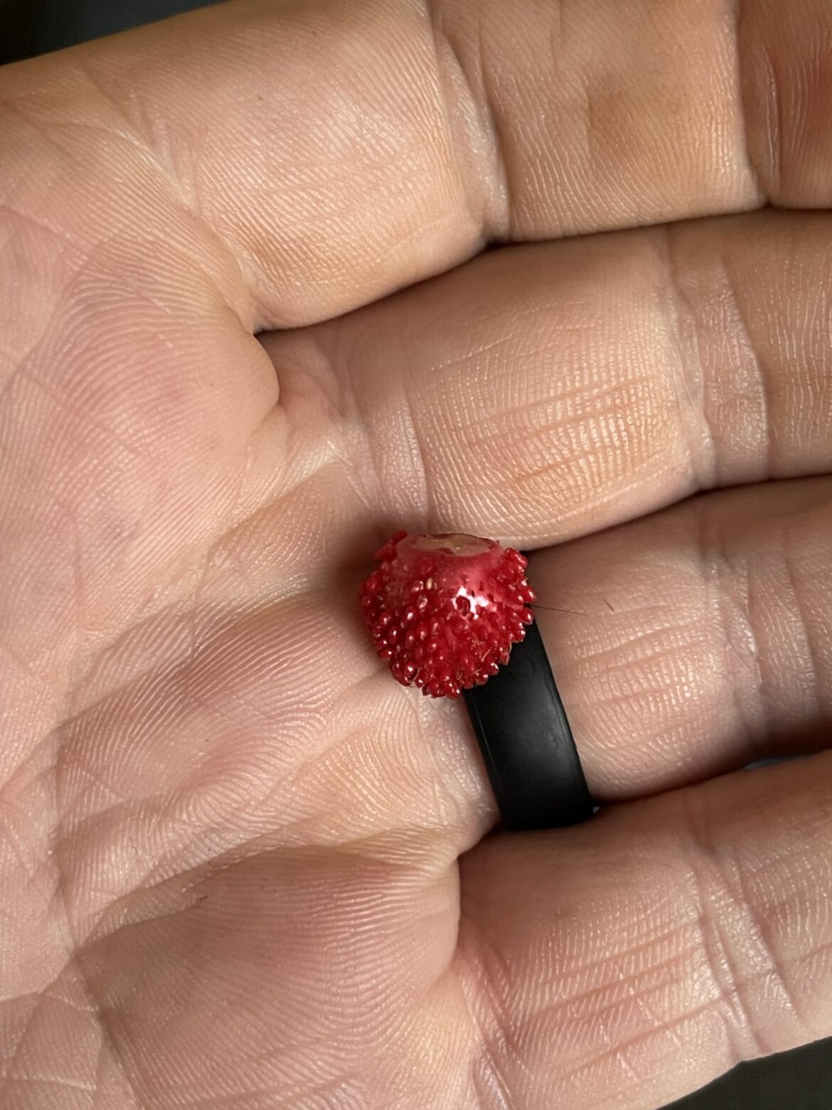What is this? What is this?