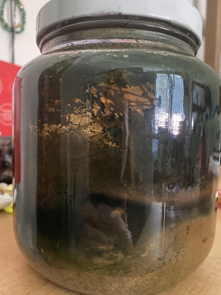 First ecosphere