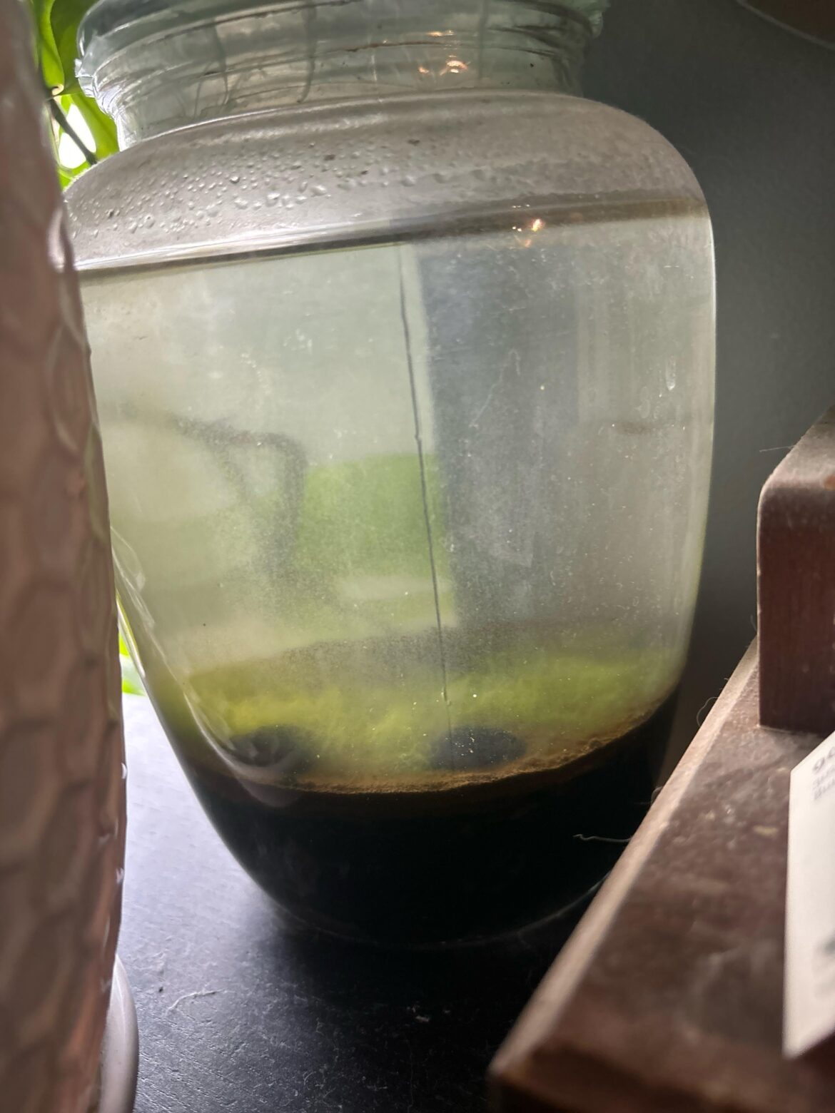 What should I do here add some life? What should I do here add some life?