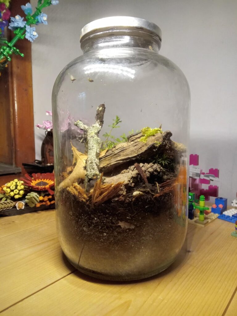 Isopods dying in New Terrestrial Ecosphere Isopods dying in New Terrestrial Ecosphere