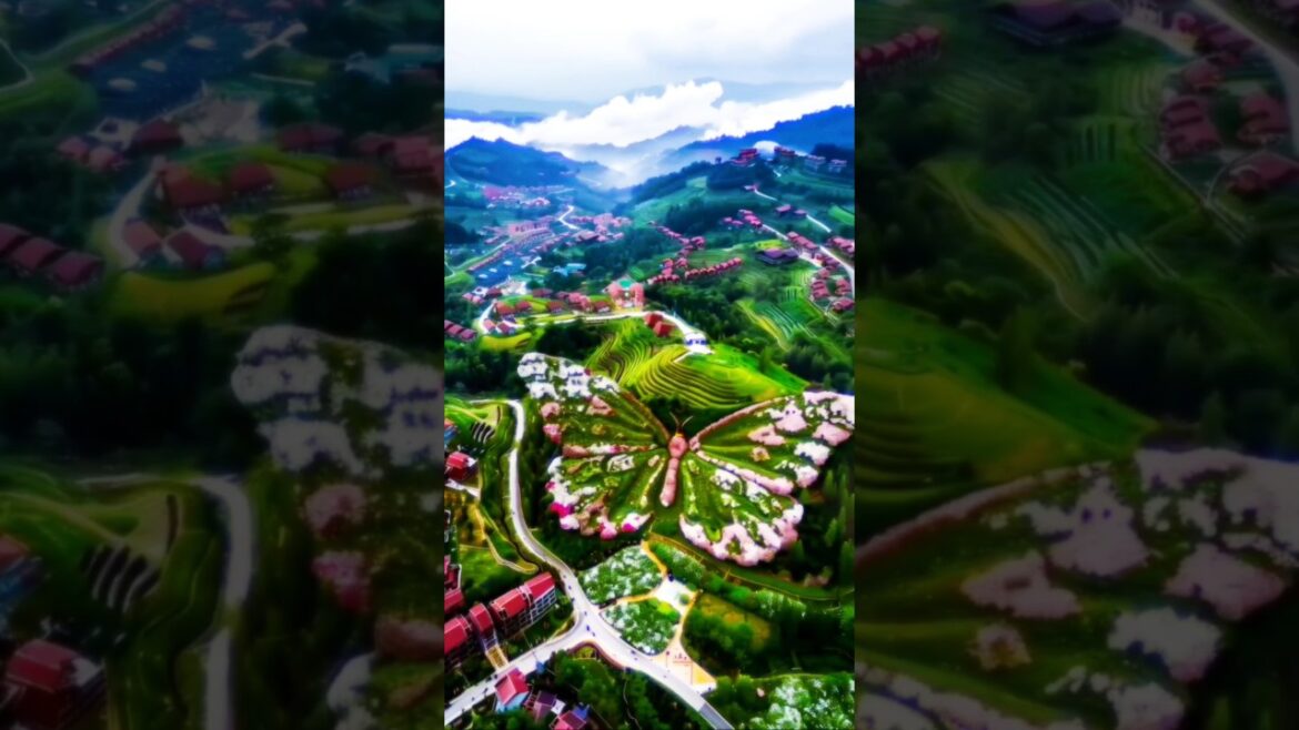 Garden Border Design !! Edible Flower Cultivation #shorts Garden Border Design !! Edible Flower Cultivation #shorts