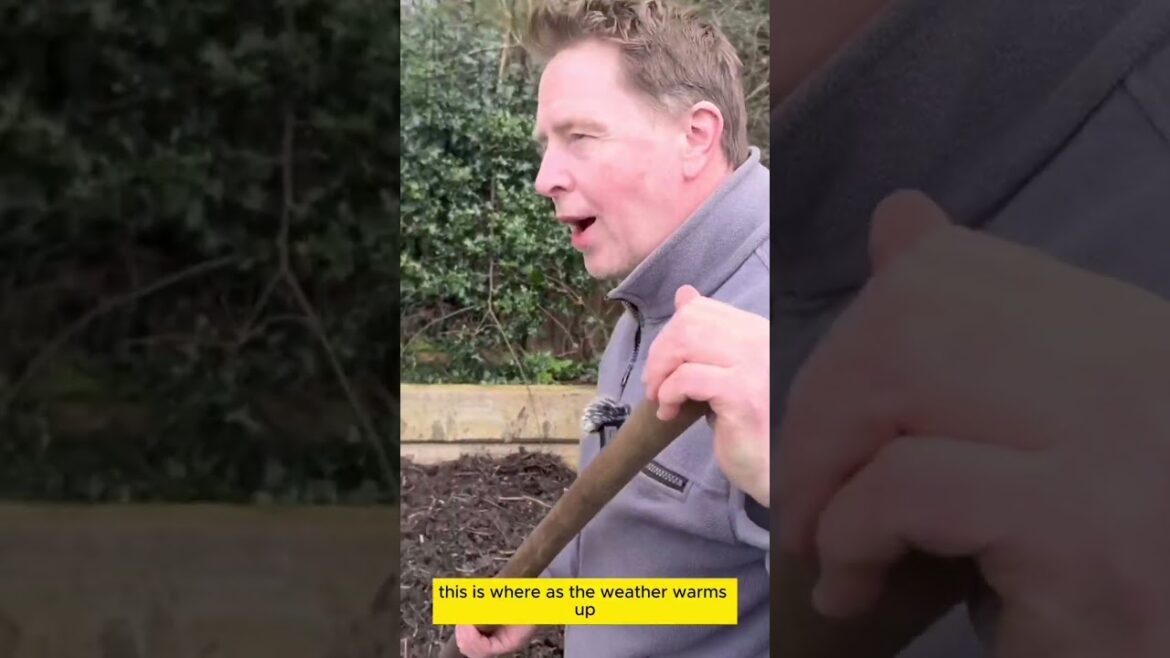 Composting tips from a Head Gardener! 🍂
