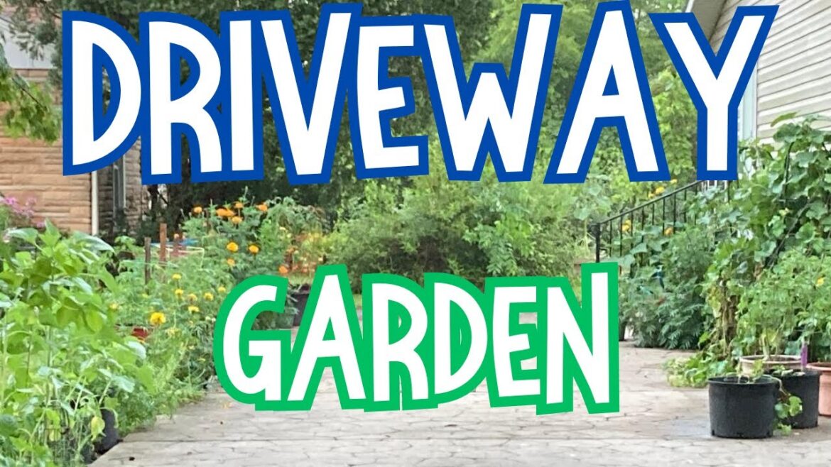 Small garden tour with vertical gardening, container gardening, trellised garden. #garden