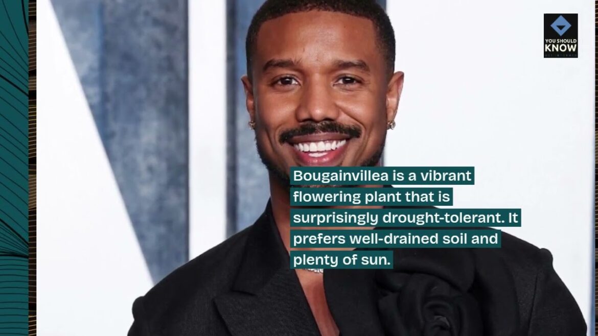 Top 10 Drought Tolerant Plants for Water Scare Regions Top 10 Drought Tolerant Plants for Water Scare Regions