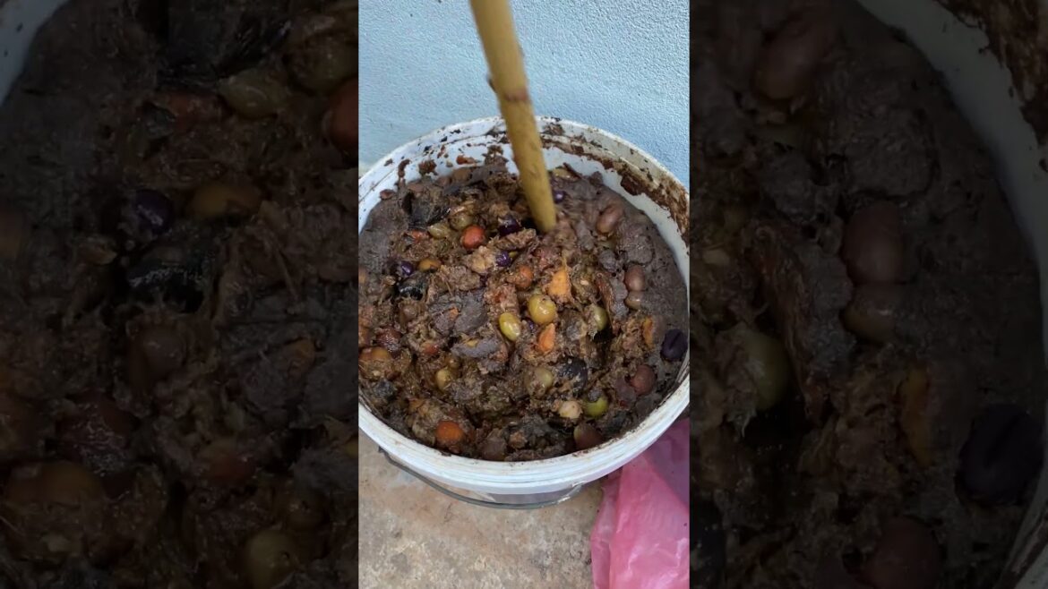 my life garden at home/ sample tips growth vegetable #short #garden my life garden at home/ sample tips growth vegetable #short #garden