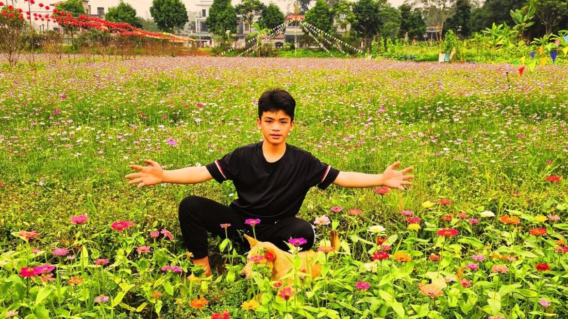 Orphan Boy Daily Life and Little Dog – Vegetable gardening – Going out for Tet Orphan Boy Daily Life and Little Dog - Vegetable gardening - Going out for Tet