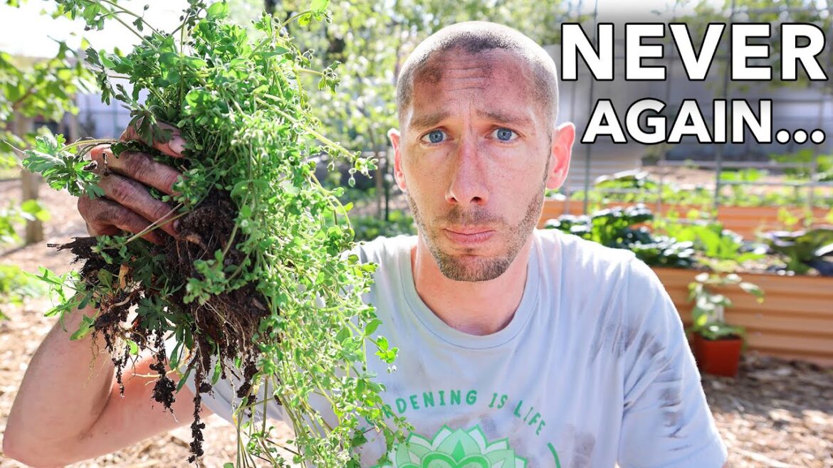 James Prigioni: NEVER Weed Your Garden AGAIN… If You Do This One Thing NEVER Weed Your Garden AGAIN... If You Do This One Thing