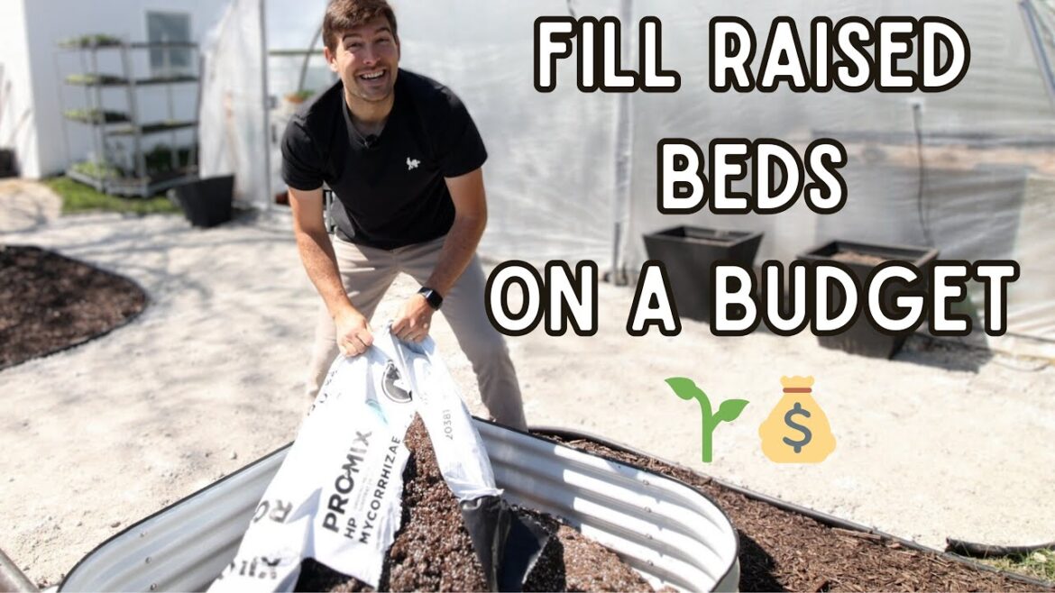 MIgardener: PRO Gardening Tip HOW TO Fill Raised Beds Without Breaking the Bank! PRO Gardening Tip HOW TO Fill Raised Beds Without Breaking the Bank!