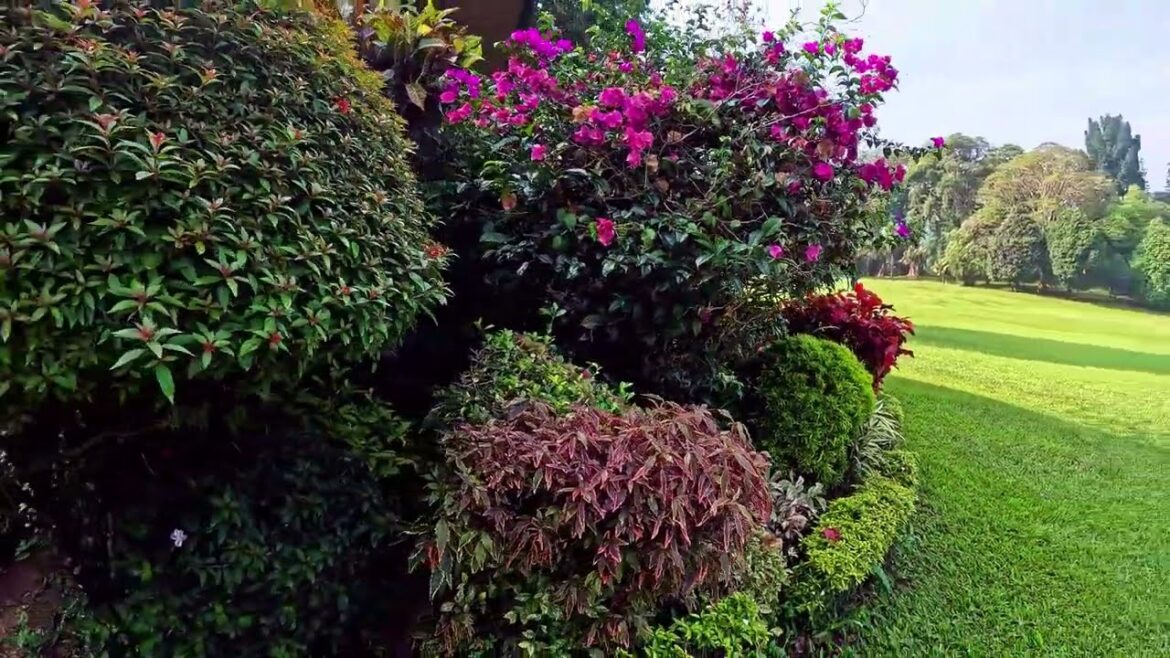 Beautiful Small front yard Landscapes #garden #gardening #flowers