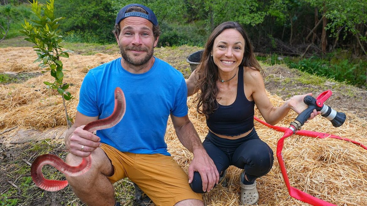 Transforming our terrace using VERMICOMPOST, STRAW AND CHOCOLATE?! Planting a NO-TILL GARDEN 🌱 Transforming our terrace using VERMICOMPOST, STRAW AND CHOCOLATE?! Planting a NO-TILL GARDEN 🌱