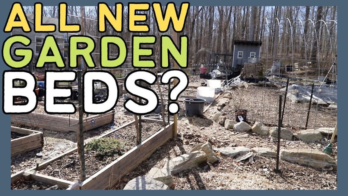 GARDEN PLANS & PROGRESS | March 2024 | Connecticut #Garden