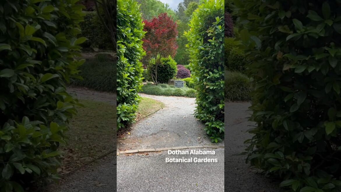 Dothan Alabama Botanical Gardens Asian Gardens. #gardening #gardendesign #garden