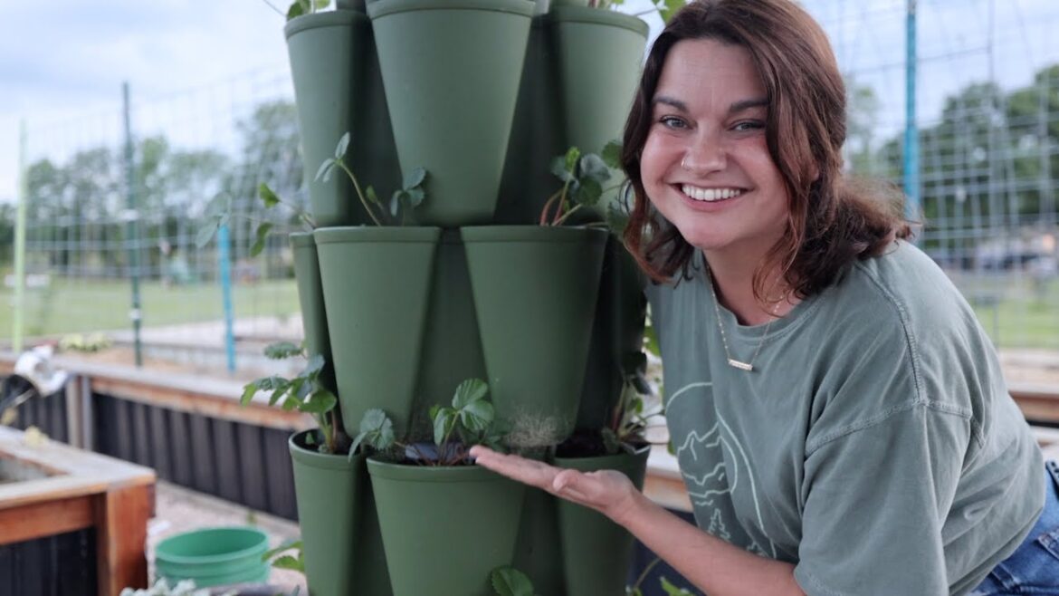 Roots and Refuge Farm: All About Greenstalk Gardens (My Honest Review after SIX Years of use) All About Greenstalk Gardens (My Honest Review after SIX Years of use)