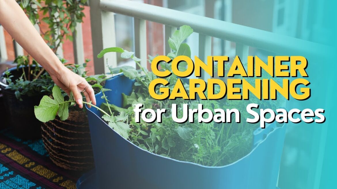 Container Gardening for Urban Spaces Container Gardening for Urban Spaces