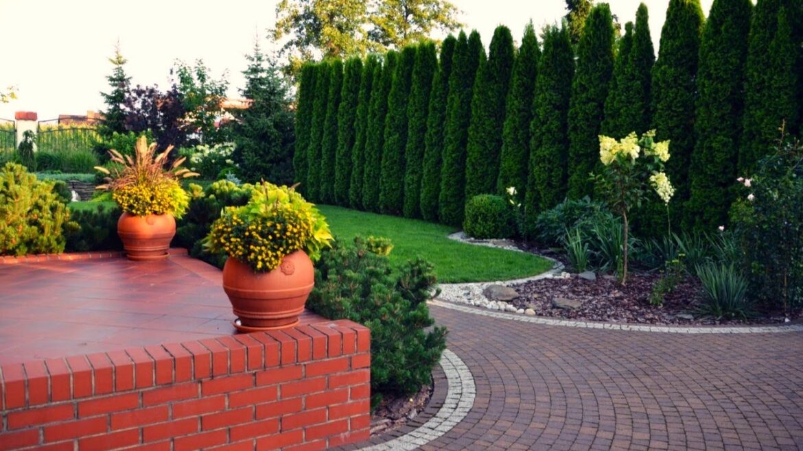 Примеры творческих подходов к обустройству сада / Examples of creativity in garden design