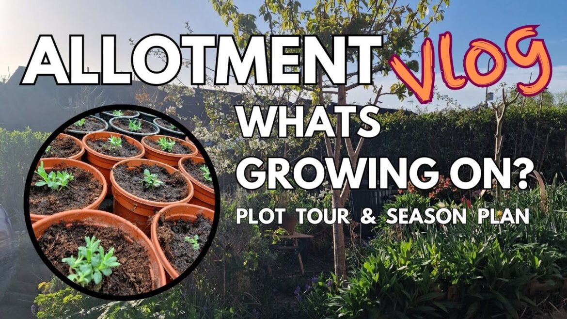 Allotment Vlog. April Plot Tour & Garden Plans. - Gardening with Nature. Biodiversity Matters.