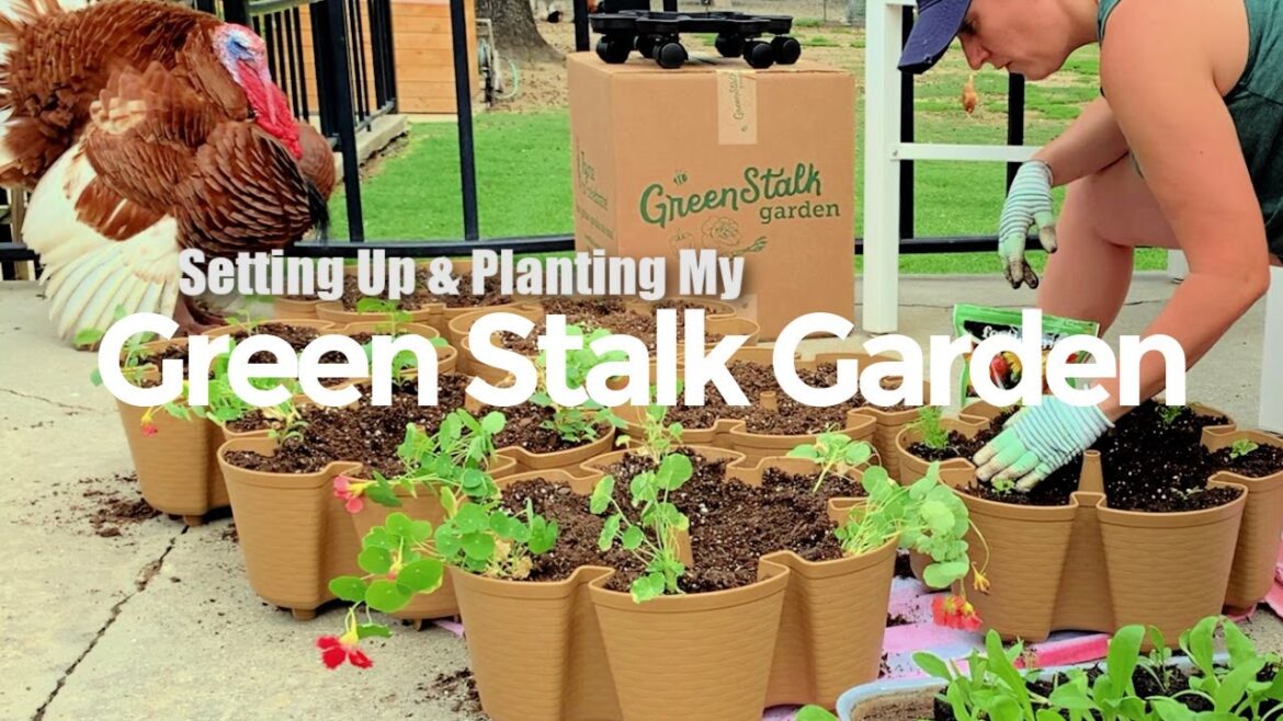 My New GreenStalk Vertical Garden | I’m in Love My New GreenStalk Vertical Garden | I'm in Love