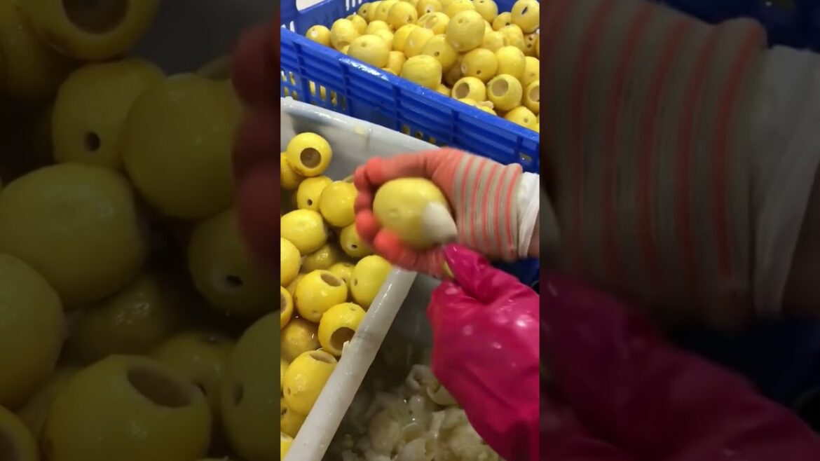 Amazing work  #agriculture #aloevera #flower  #redroses #garden #tips   #satisfying  #asrm #tricks