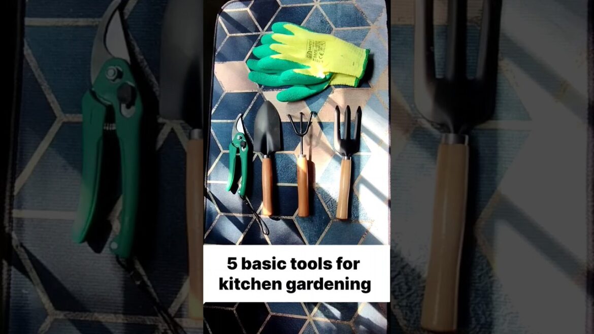 Important Basic Tools For Kitchen Gardening #shorts #youtubeshorts #trending #viral #gardening Important Basic Tools For Kitchen Gardening #shorts #youtubeshorts #trending #viral #gardening