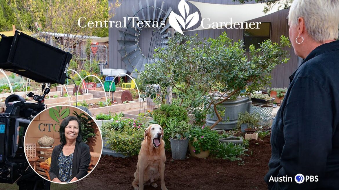 Hands-on Garden Design Hands-on Garden Design