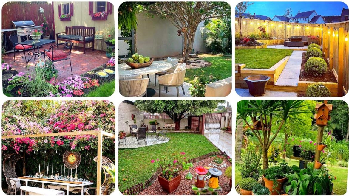35+ best garden decoration ideas|| family garden ideas|| Garden Lounch and plants ideas