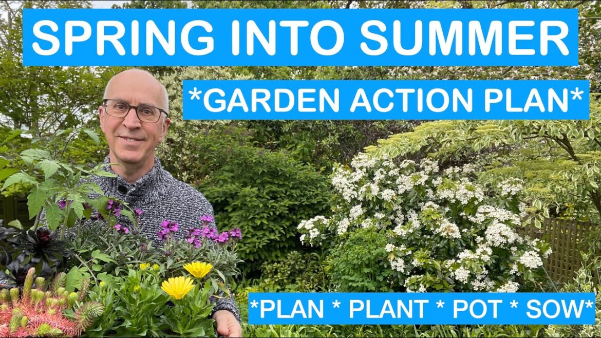 SPRING INTO SUMMER GARDEN ACTION PLAN – PLAN, PLANT, POT, SOW SPRING INTO SUMMER GARDEN ACTION PLAN – PLAN, PLANT, POT, SOW