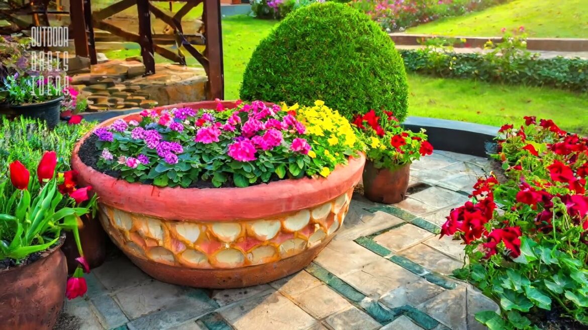 Compact Front Yards: Landscaping Ideas to Refresh Your Outdoor Space