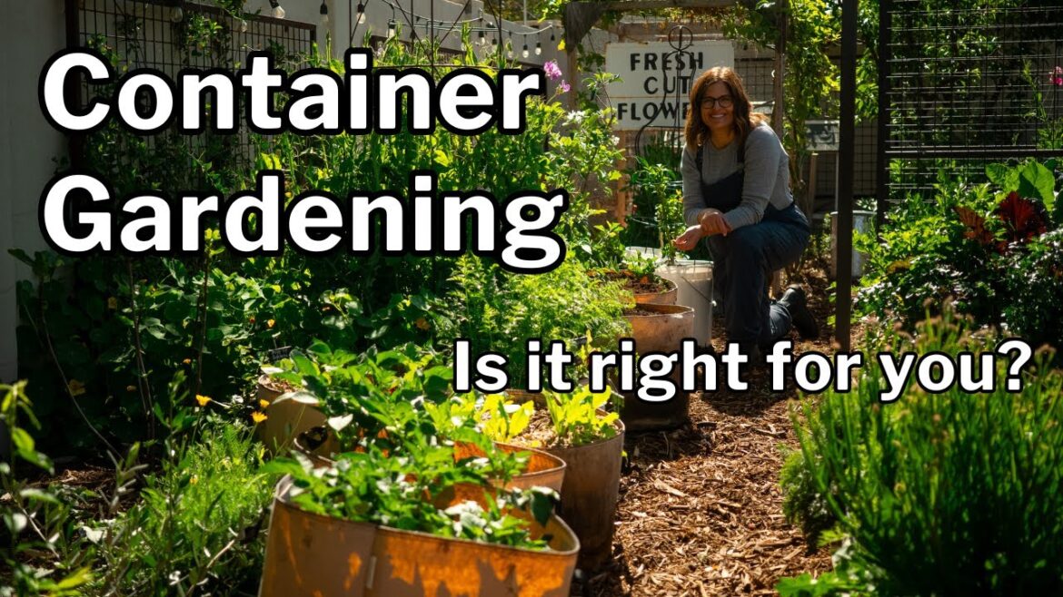 CONTAINER GARDENING PROS & CONS: Maximize Benefits + Understand Challenges