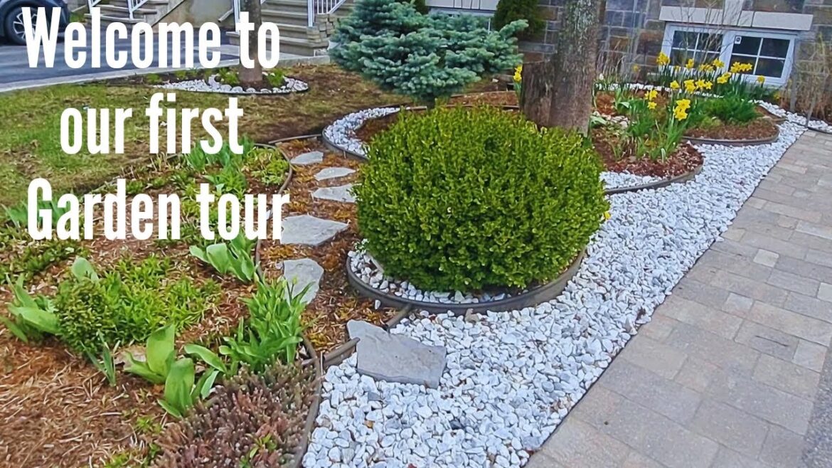 FIRST SPRING GARDEN TOUR | NEW SMALL GARDEN DESIGN #landscape #garden #gardening  #plants #flowers