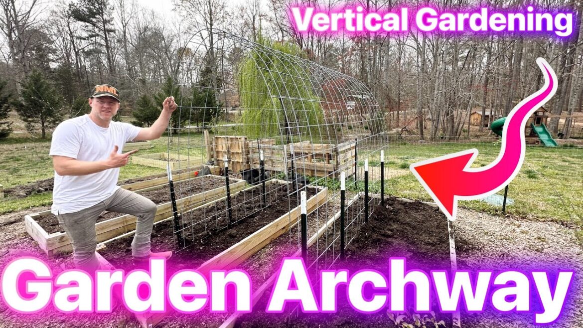 Vertical Gardening with an ARCHWAY Trellis