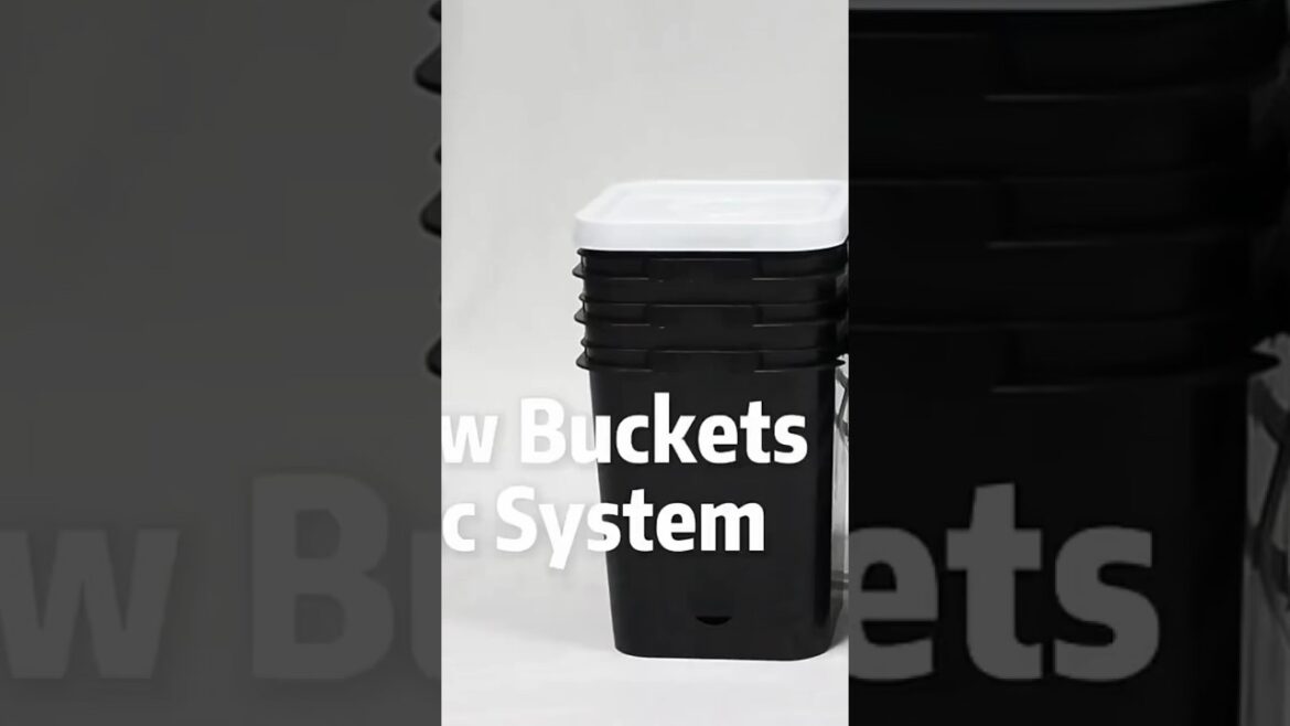 Free UK shipping, RDWC Systems, link in comment section and bio.  #hydroponics #rdwc