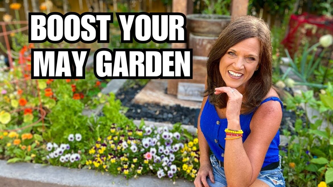CaliKim: 🍅LIVE: May Essential To Do’s to Boost Your Vegetable Garden 🍅LIVE: May Essential To Do's to Boost Your Vegetable Garden