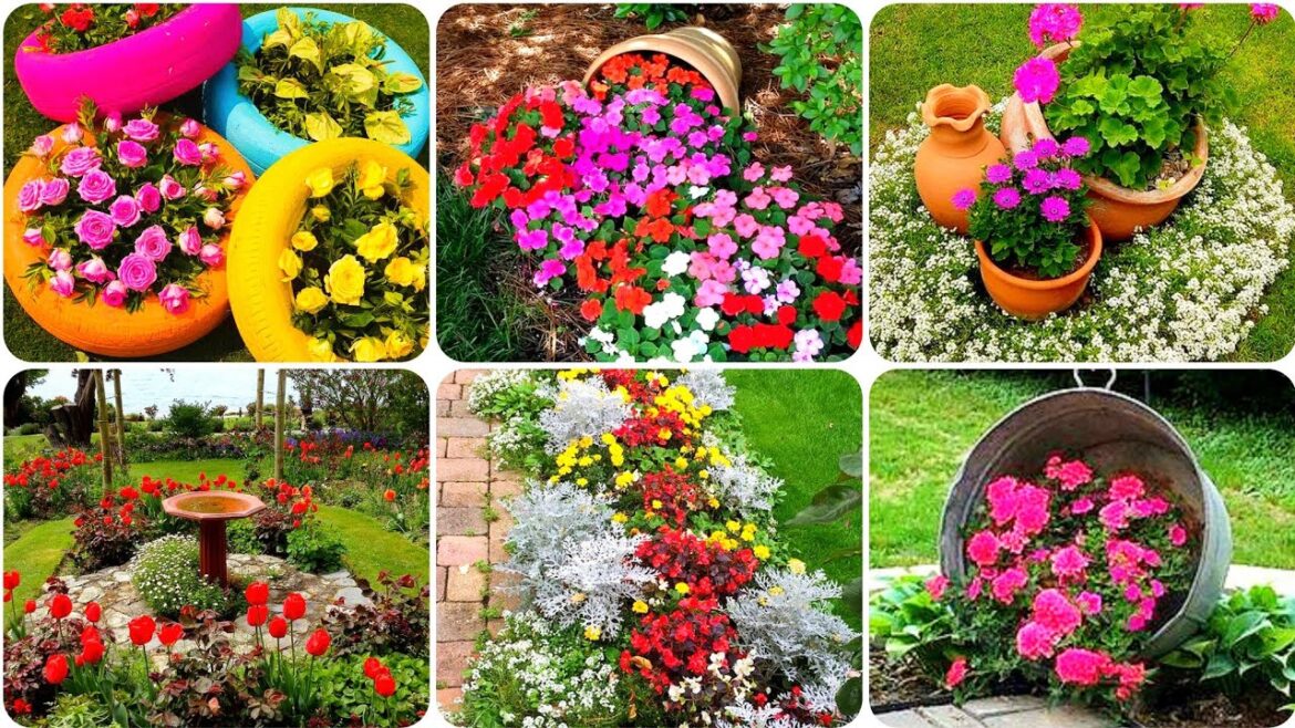 40 + Best stylish garden design ideas|| flowers plants design Lounch decoration ideas