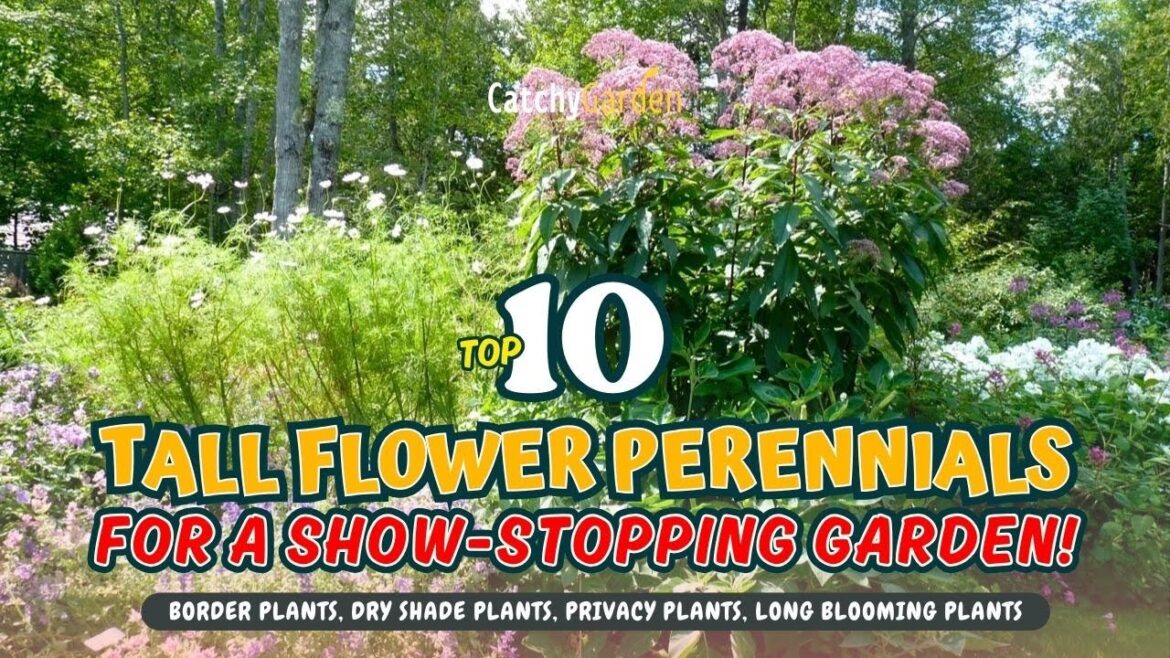 TOP 10 TALL FLOWER PERENNIALS FOR A SHOW-STOPPING GARDEN! 🌻🌹🌼 // Gardening Ideas