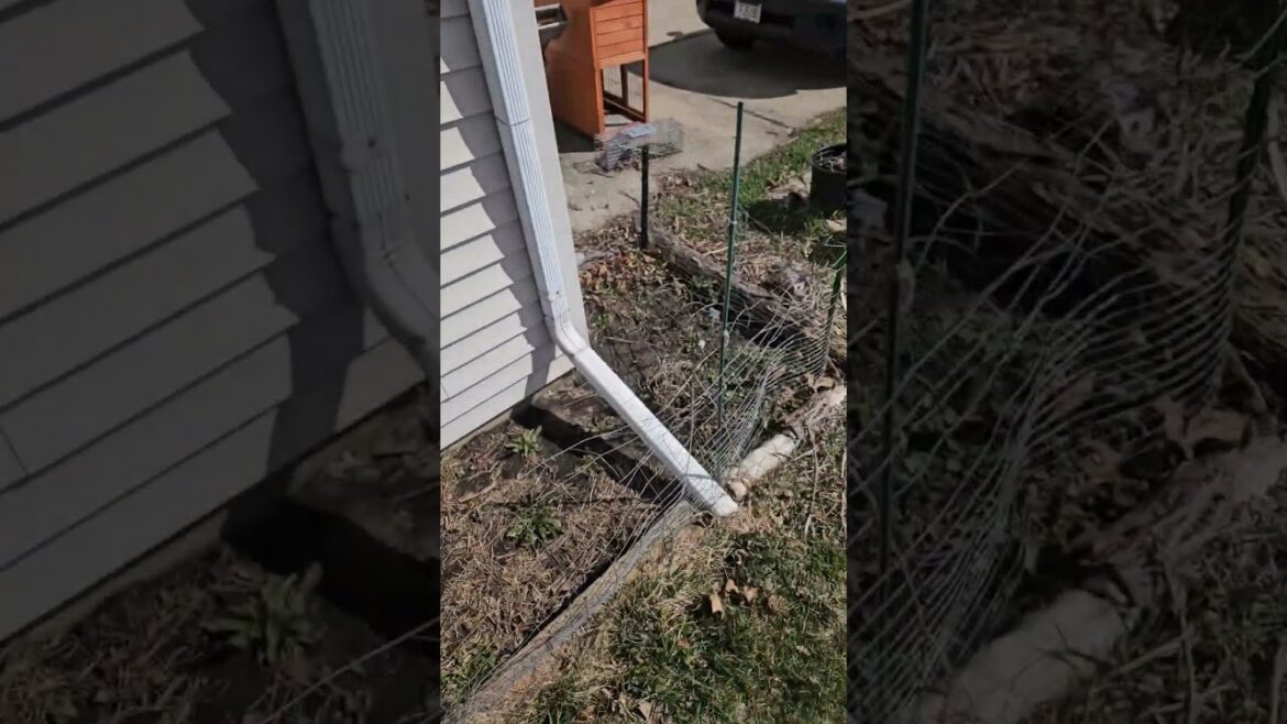 Garden Plans 2024 #gardening