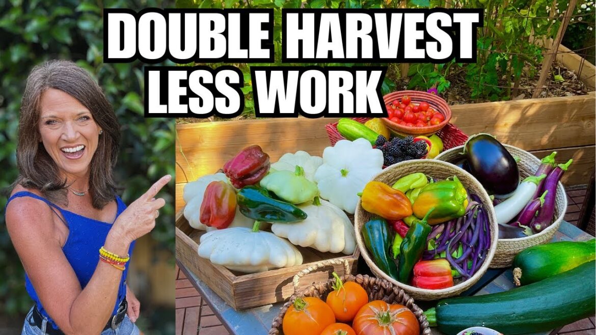 CaliKim: Double Your Harvests in Raised Beds with Less Work Double Your Harvests in Raised Beds with Less Work