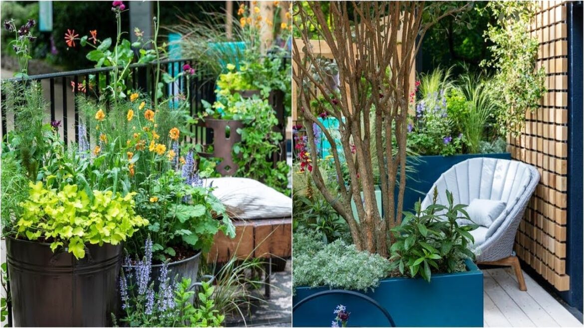 Balcony trends from RHS Chelsea Flower Show #balconygarden #chelseaflowershow2024 #flowershow Balcony trends from RHS Chelsea Flower Show #balconygarden #chelseaflowershow2024 #flowershow