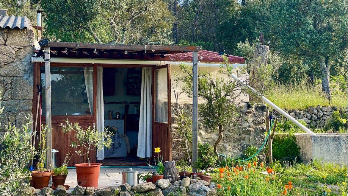 Upgrades to our Homestead and a Spring Garden Tour 🌺