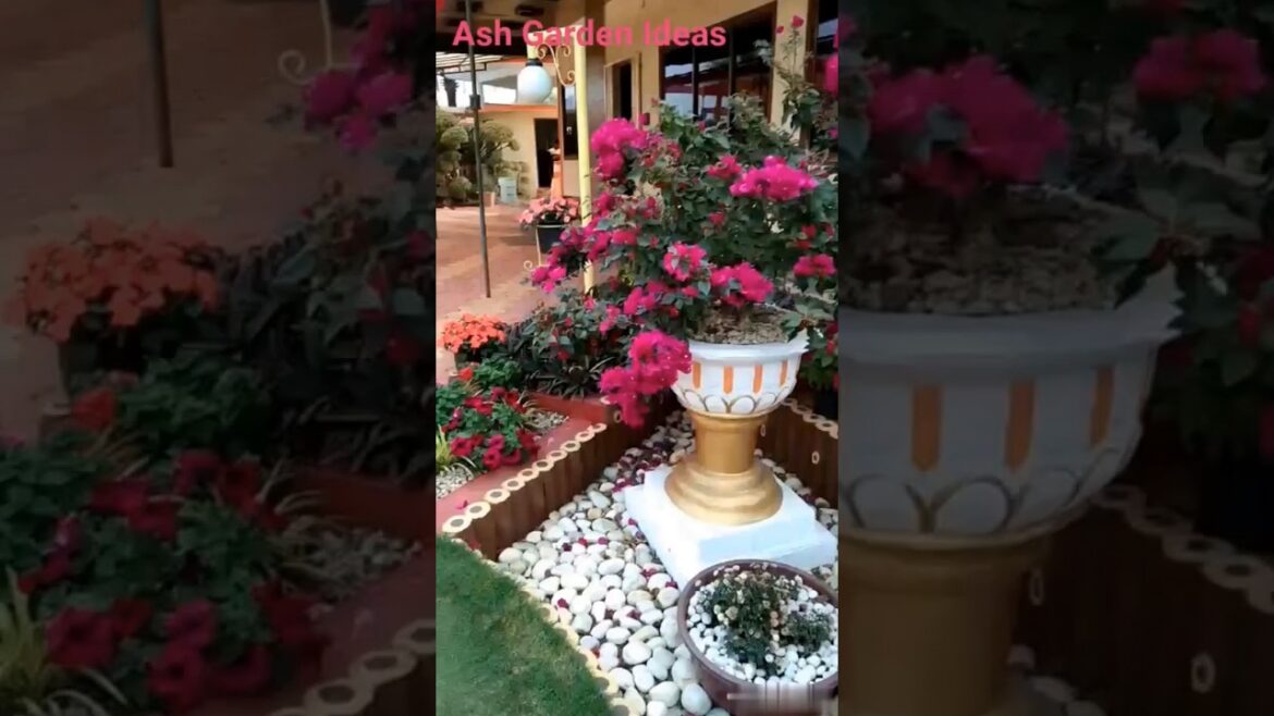 Beautiful FRONT YARD Gardens! front gardens | beautiful gardens ideas #frontyard #Shorts Beautiful FRONT YARD Gardens! front gardens | beautiful gardens ideas #frontyard #Shorts