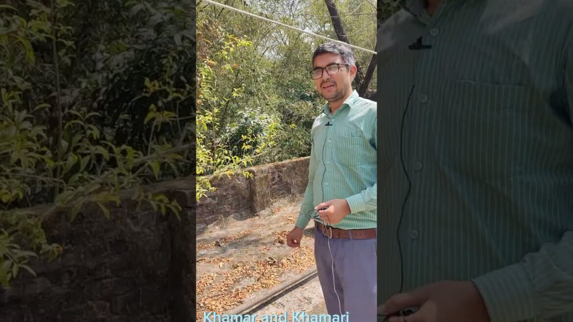 ছাদ কৃষিতে পরিবারের পুষ্টিসাধন।Rooftop gardening supply family Nutrition.#rooftopgarden