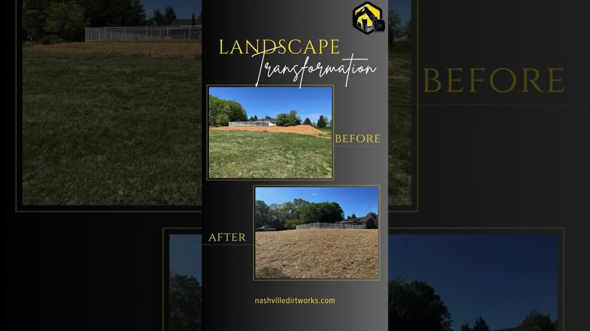 Nature Awakens: Nashville Dirt Works® Transforms Your Yard! Nature Awakens: Nashville Dirt Works® Transforms Your Yard!