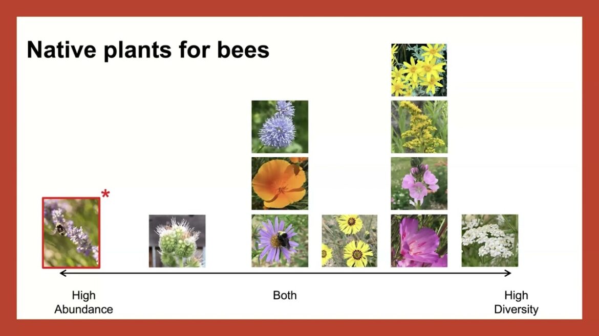 Native Plants & Bees with OSU Master Gardeners 2024 Native Plants & Bees with OSU Master Gardeners 2024
