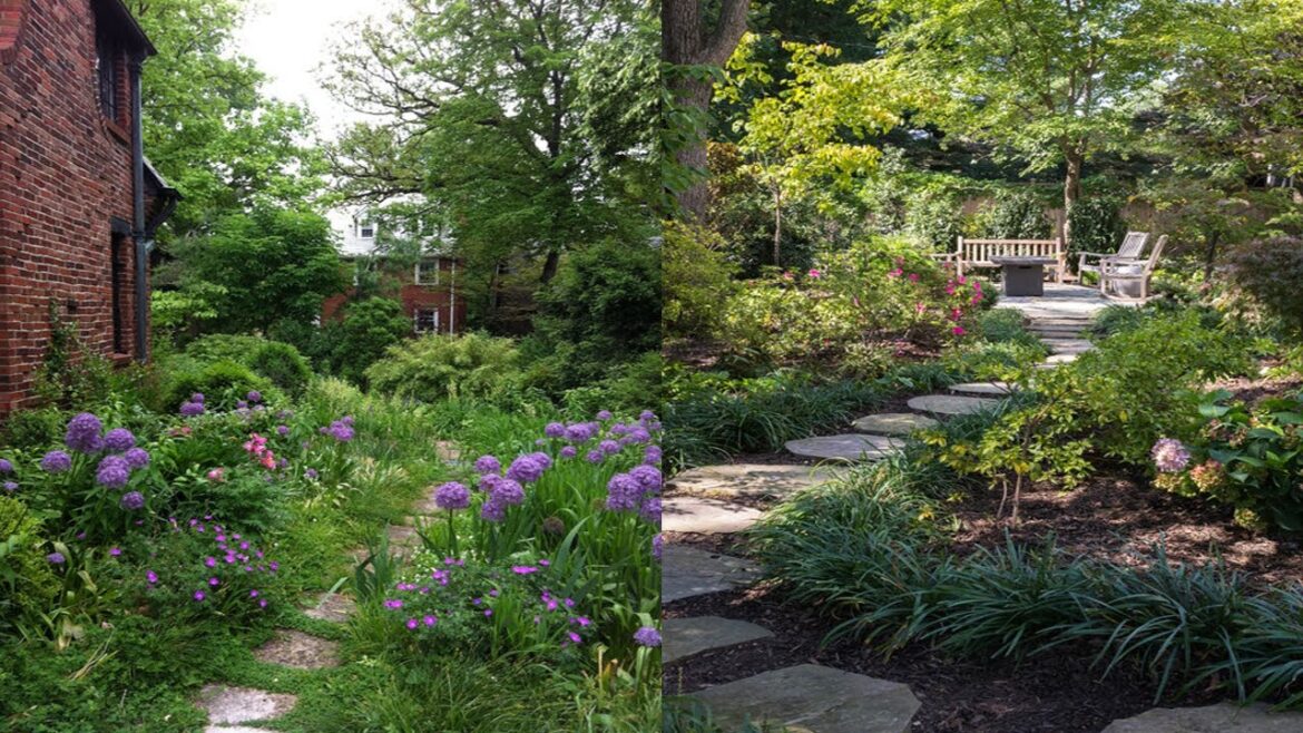 A Flat Garden Ideas | RHS Chelsea Flower Show 2024 #viral #chelseaflowershow #chelseaflowershow2024 A Flat Garden Ideas | RHS Chelsea Flower Show 2024 #viral #chelseaflowershow #chelseaflowershow2024