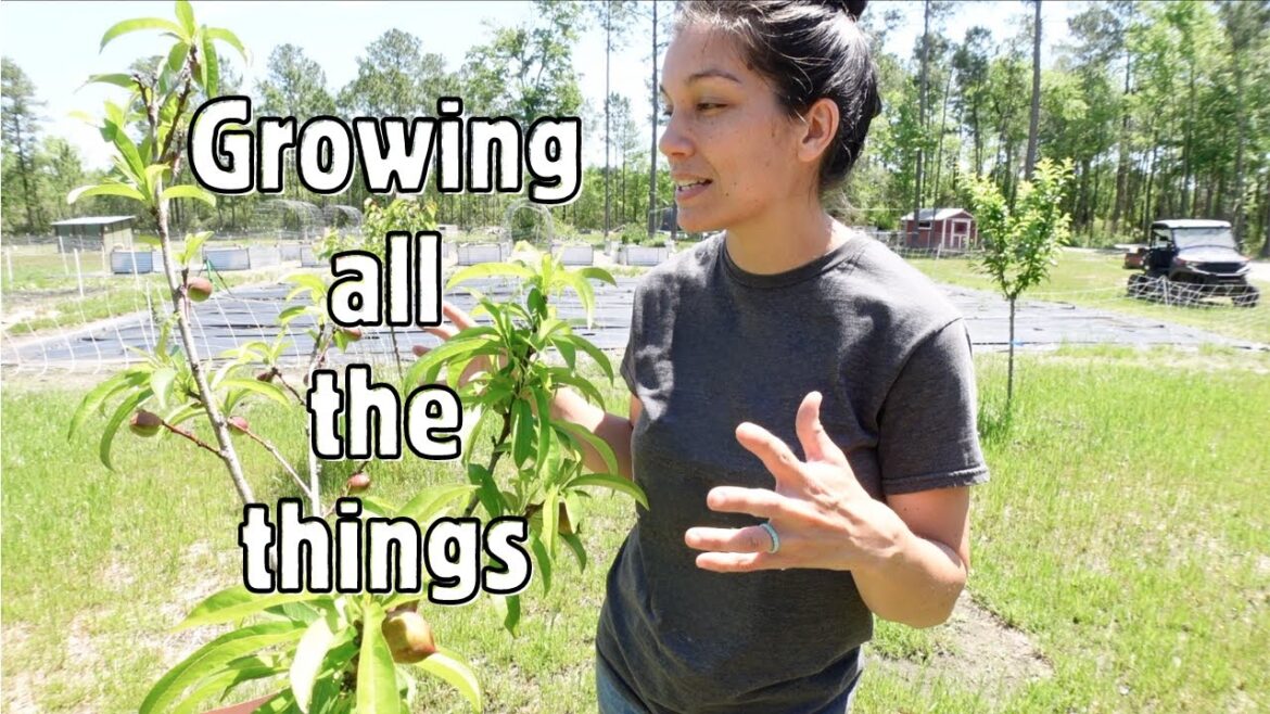 First Garden Tour of the Season First Garden Tour of the Season