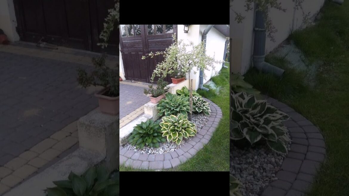 Interesting Garden decoration Front Yard Landscaping ideas