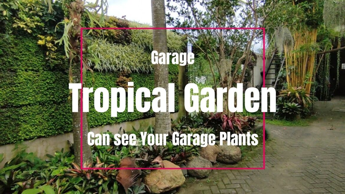 Small Front Yard Landscaping Ideas || Beautiful Front Yard Garden || tropical Garden house