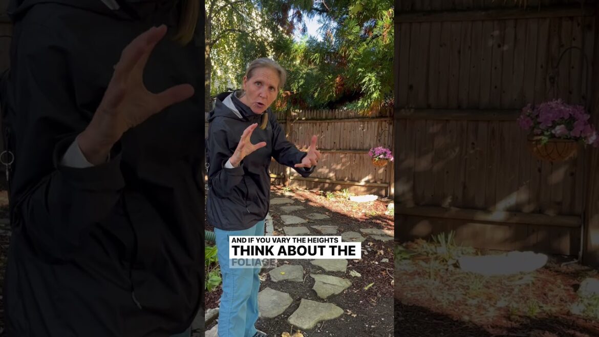 Garden Design For A Narrow Area: Keep It Low Garden Design For A Narrow Area: Keep It Low