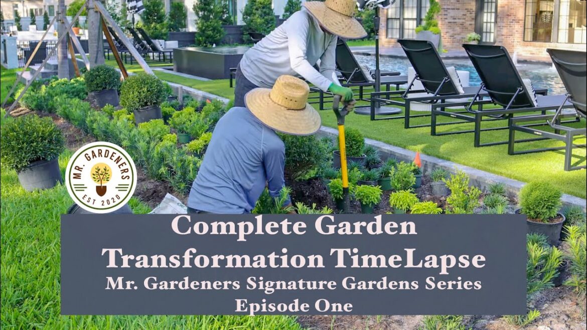 Complete transformation in one video! Mr. Gardeners Signature Gardens - Ep. 1 #gardenmakeover
